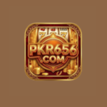 pkr656 game official logo